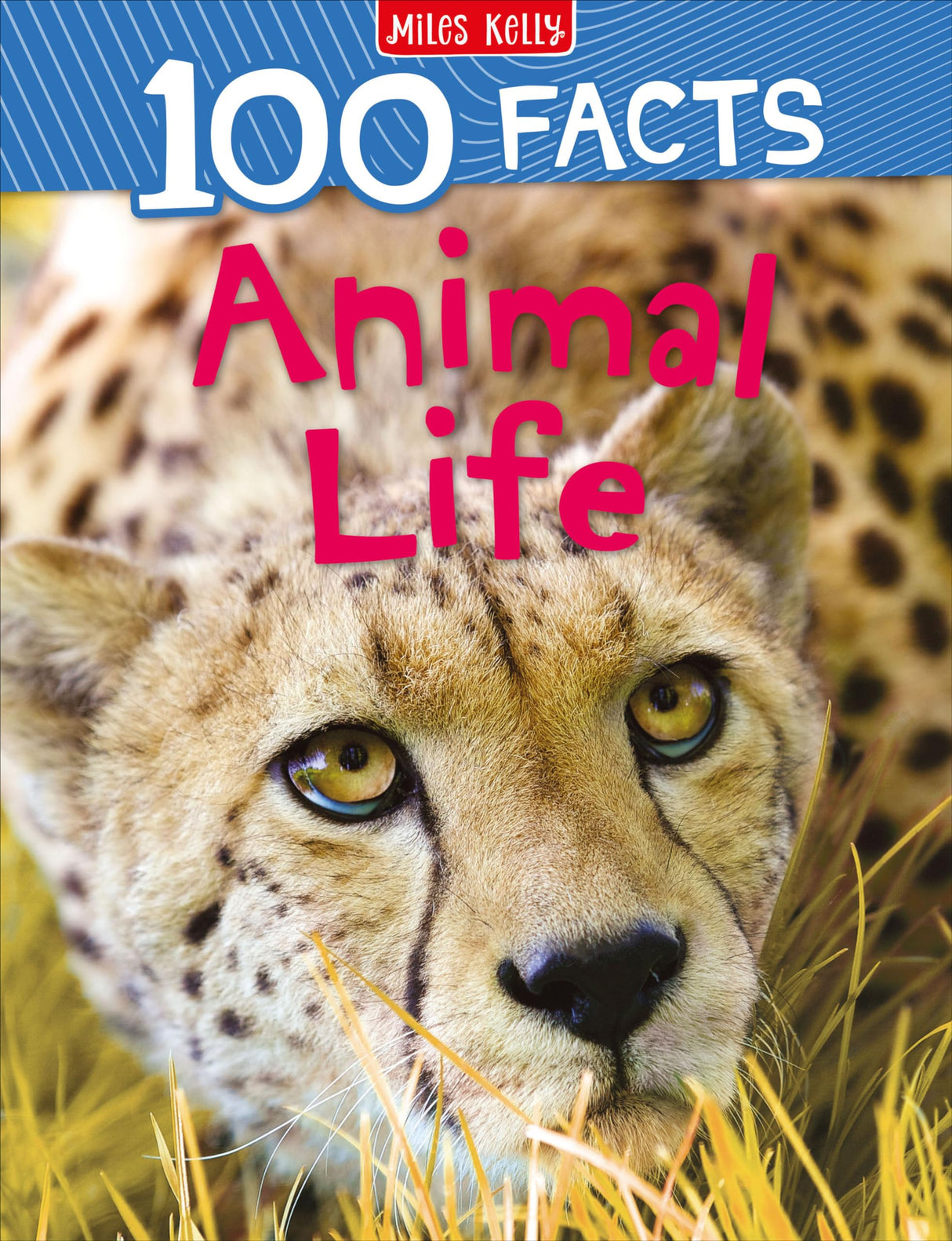 100 Facts Animal Life- Survival, Adaptation, Animal Kingdom, Educational Projects, Fun Activities, Quizzes and More!