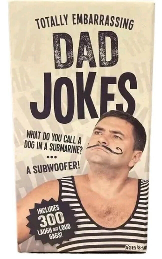 300 Totally Embarrassing Dad Jokes box Professor Puzzle