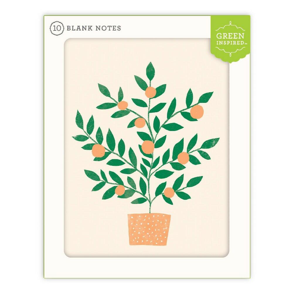 Blank Note Cards Orange Tree - 10ct Green Inspired