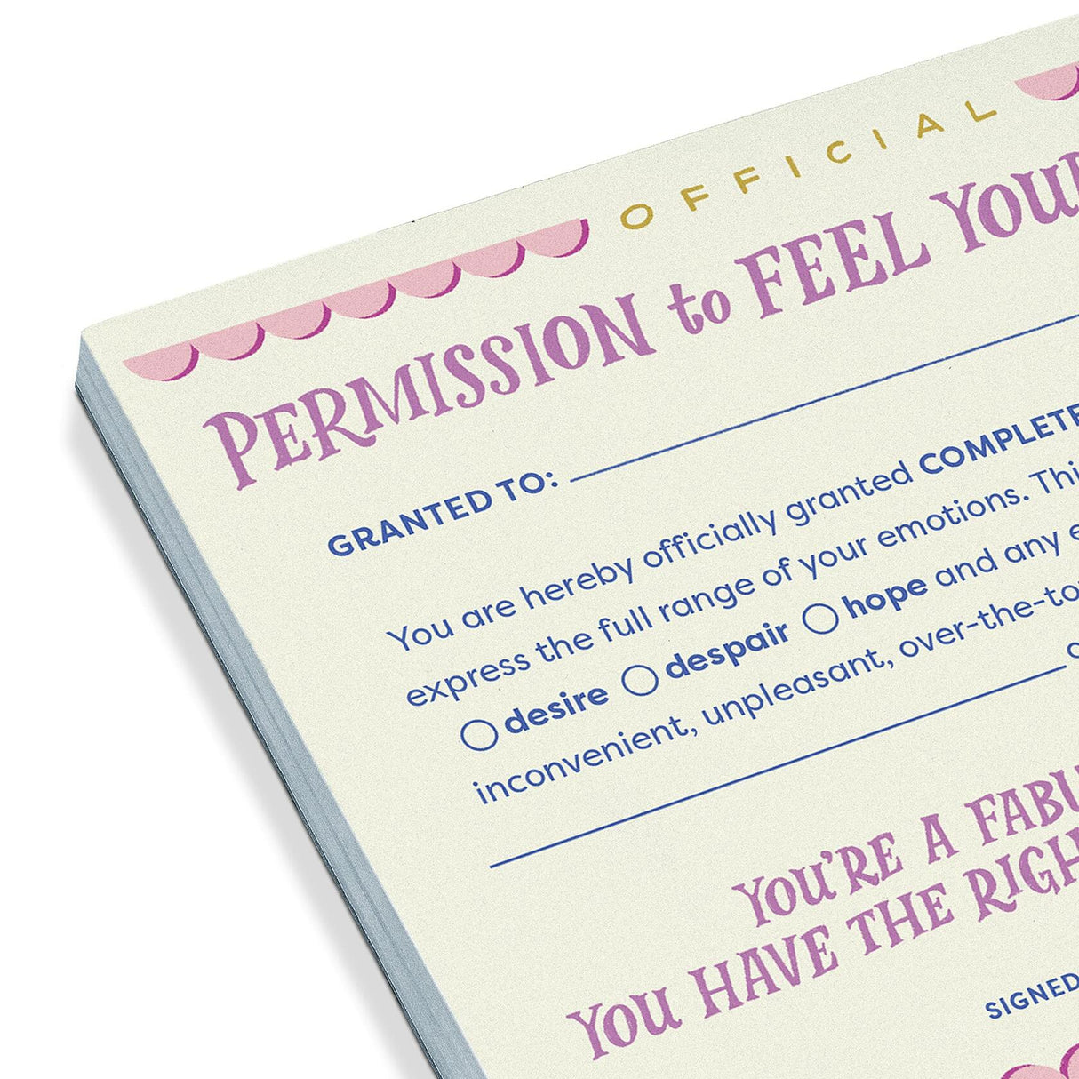 Em & Friends Permission Slip Pad, Adult Permission to Feel Your Feelings Certificate Note Pad, 6.5 x 5-inches Em & Friends