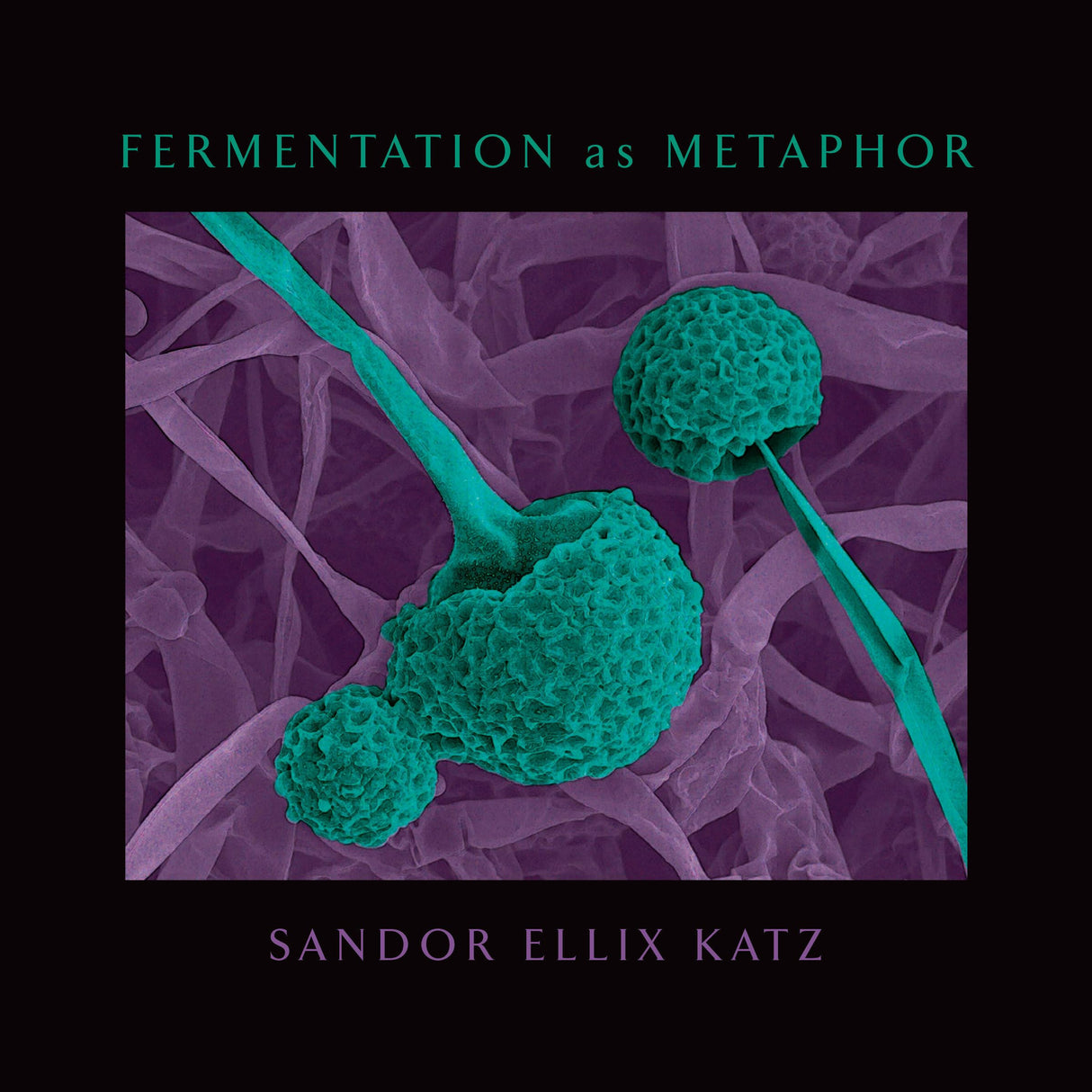 Fermentation as Metaphor: From the Author of the Bestselling The Art of Fermentation by Sandor Ellix Katz