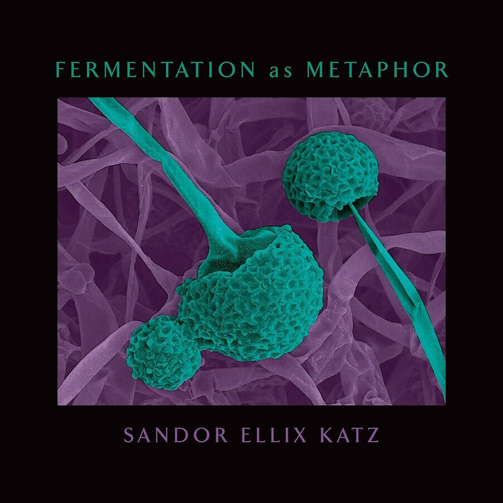 Fermentation as Metaphor: From the Author of the Bestselling The Art of Fermentation by Sandor Ellix Katz
