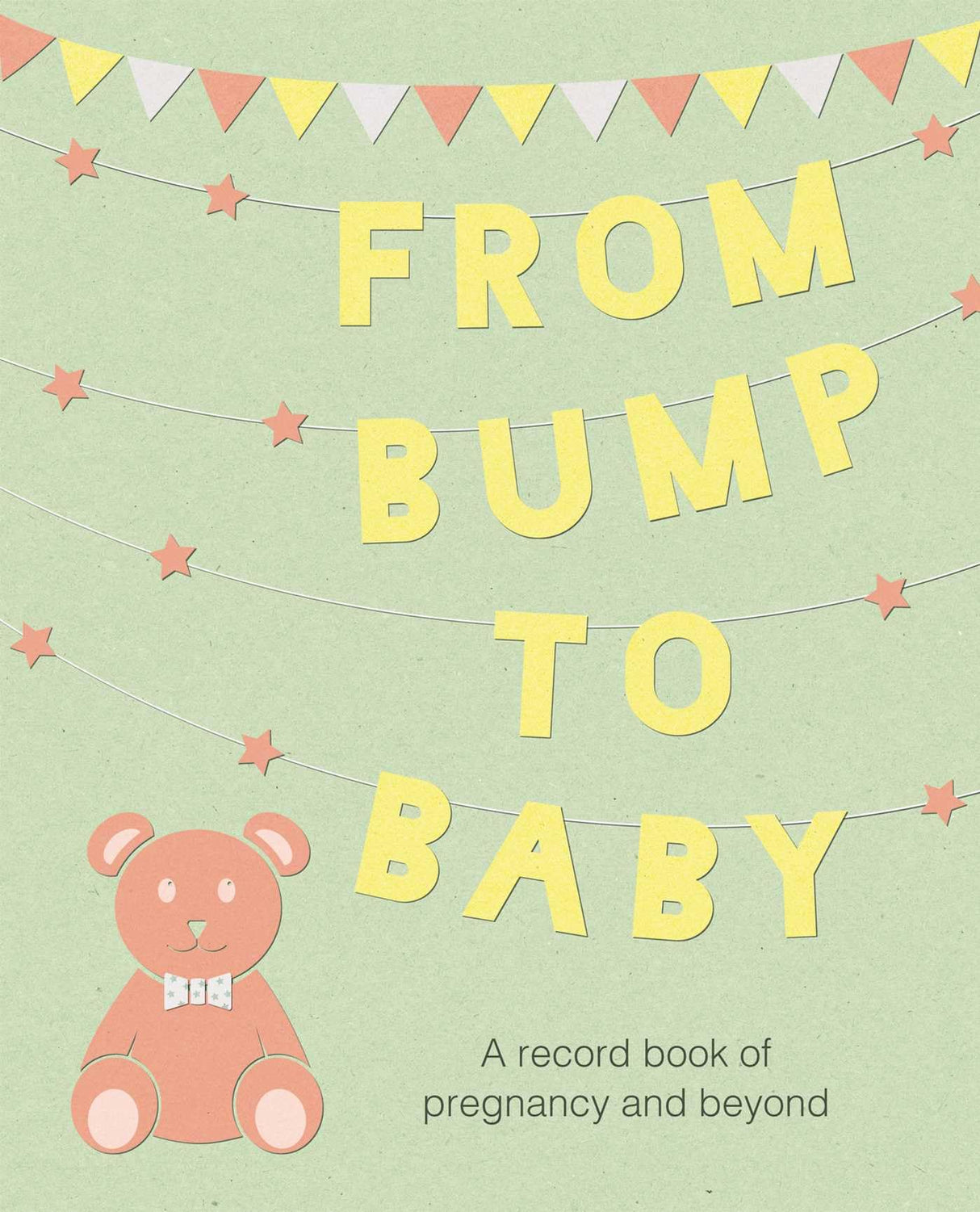 From Bump to Baby: A record book of pregnancy and beyond