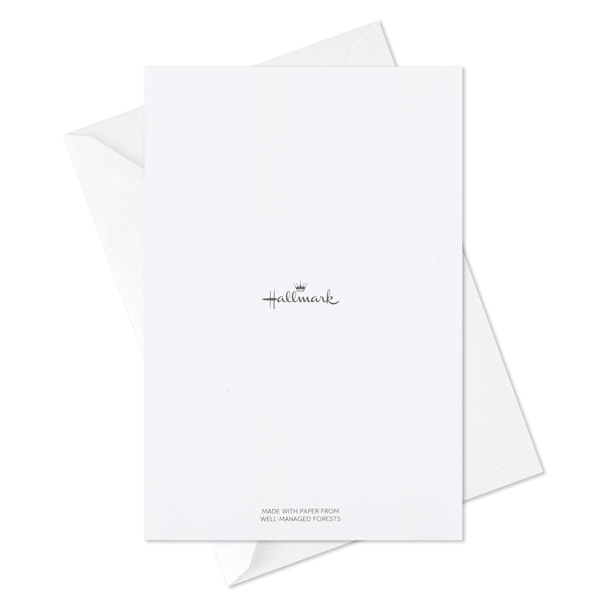 Hallmark Boxed Christmas Cards (6 Designs, 24 Cards with Envelopes)