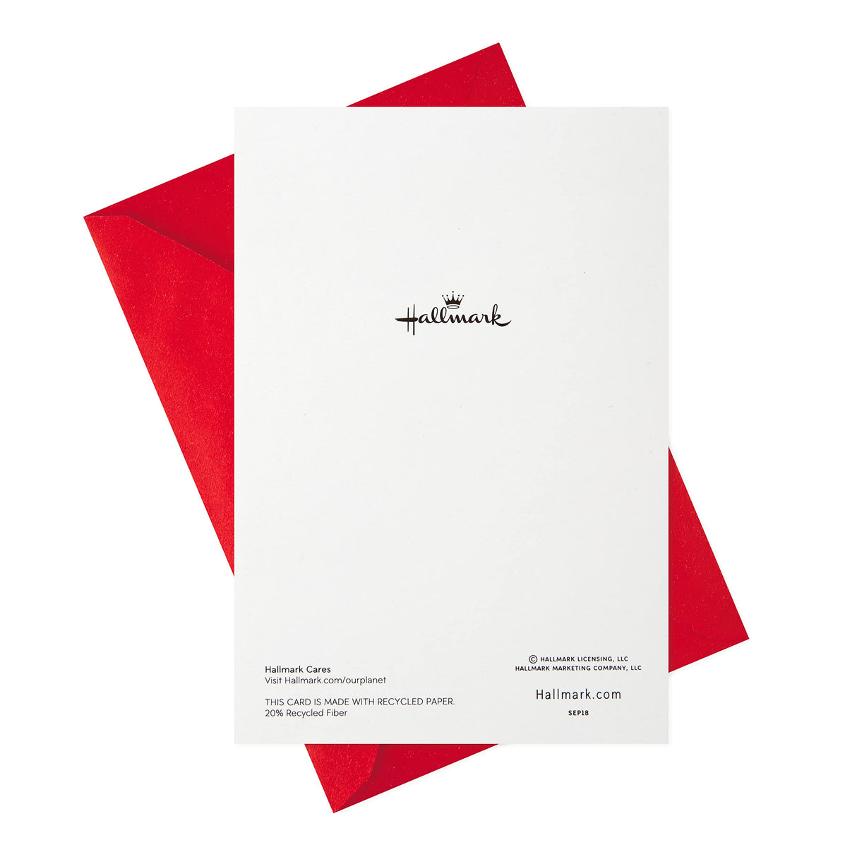 Hallmark Pack of Valentines Day Cards for Kids, Puppy Paws Hallmark