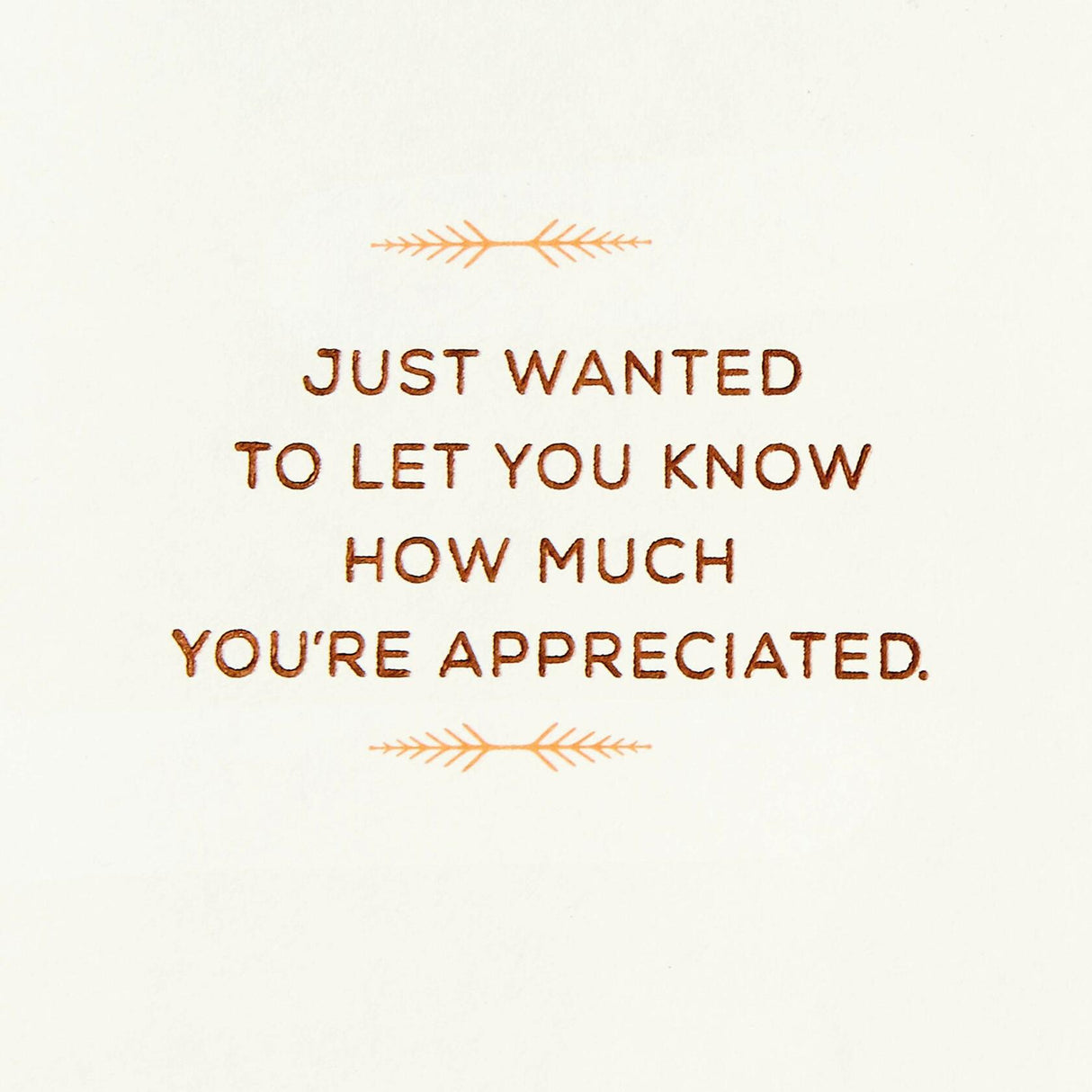 Hallmark Thank You Cards, Pack of 2 (Many Thanks) Hallmark