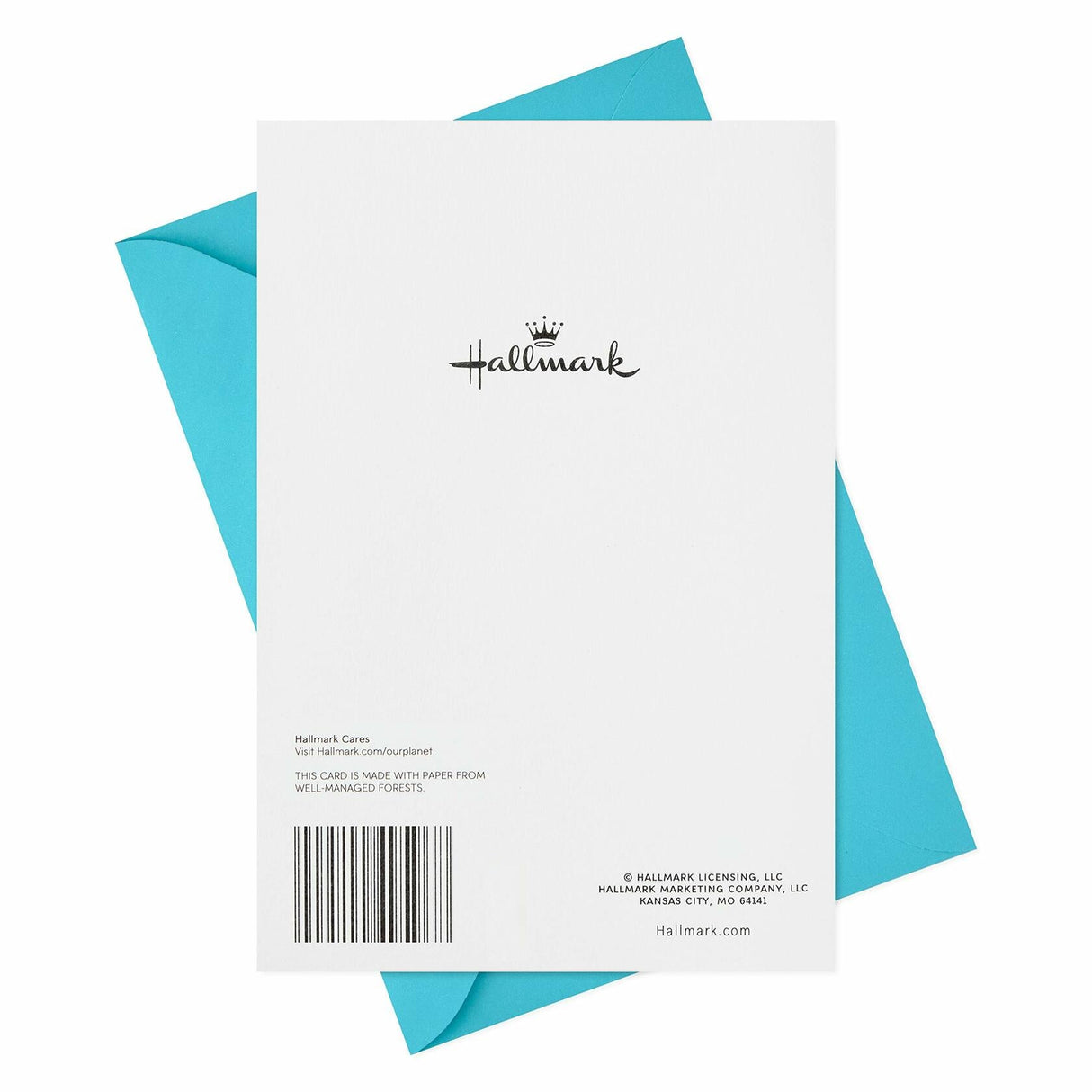 Hallmark Thank You Cards, Pack of 2 (Many Thanks) Hallmark