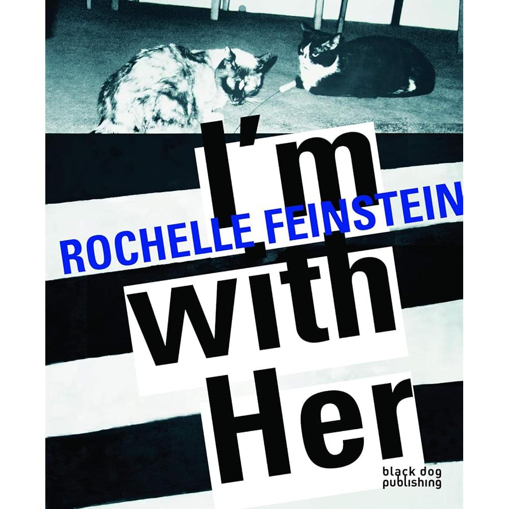 I'm with Her: Rochelle Feinstein Jennifer Kabat, David Norr