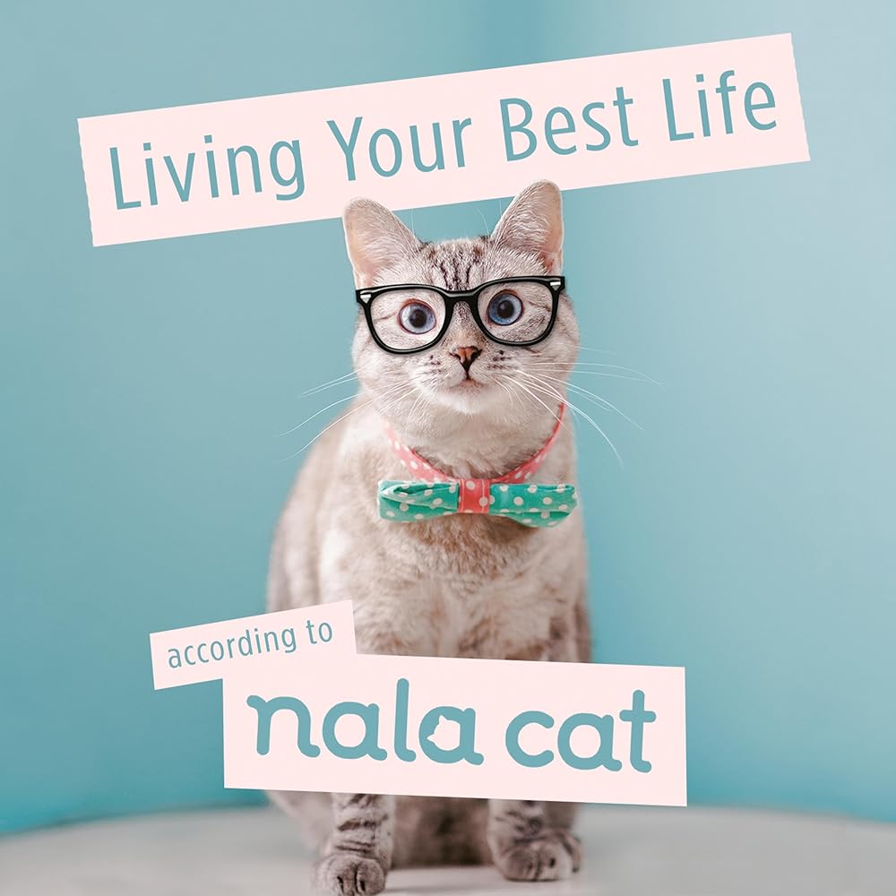 Living Your Best Life According to Nala Cat Nala Cat