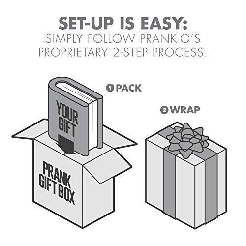 Prank-O Baby Shield Gag Gift Empty Box Prank-O