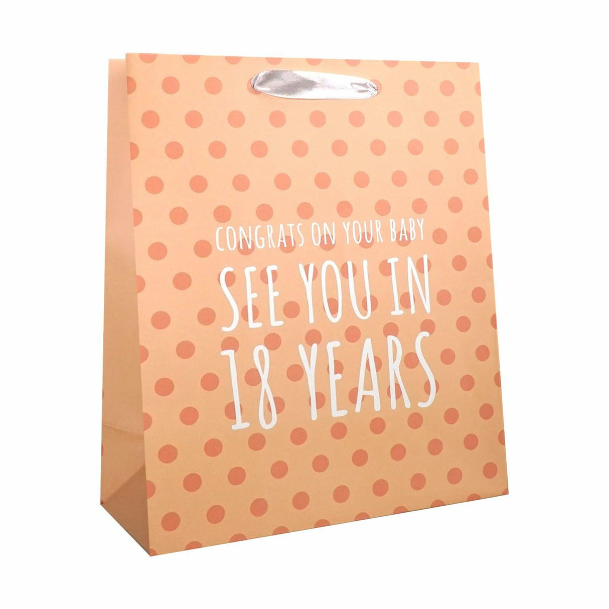 Prank-O "See You In 18 Years" Medium Funny Gift Bag