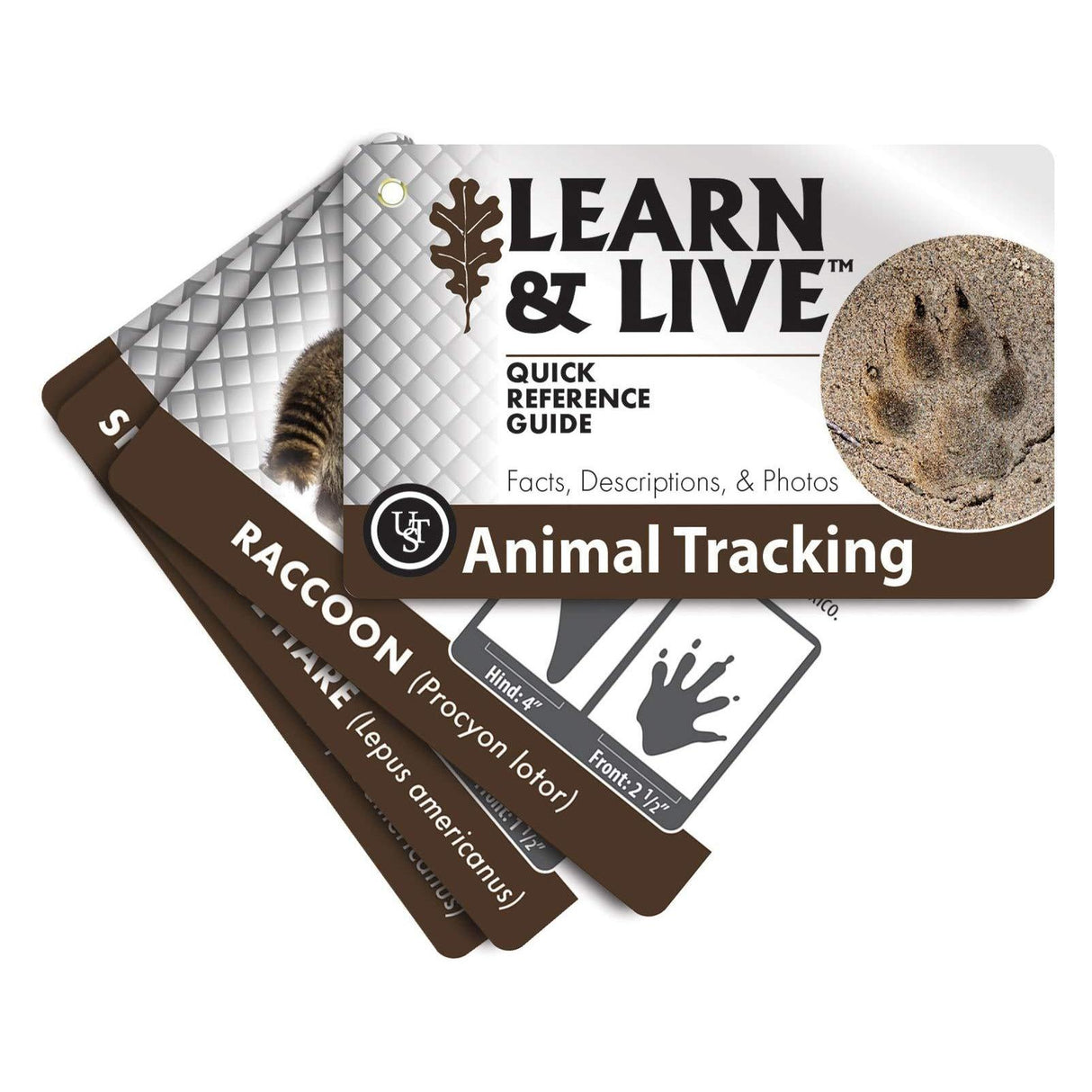 UST Learn & Live Educational Card Set - Animal Tracking