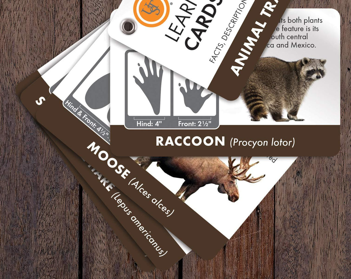 UST Learn & Live Educational Card Set - Animal Tracking ust