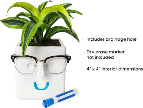 30 Watt Face Plant Novelty Planter.