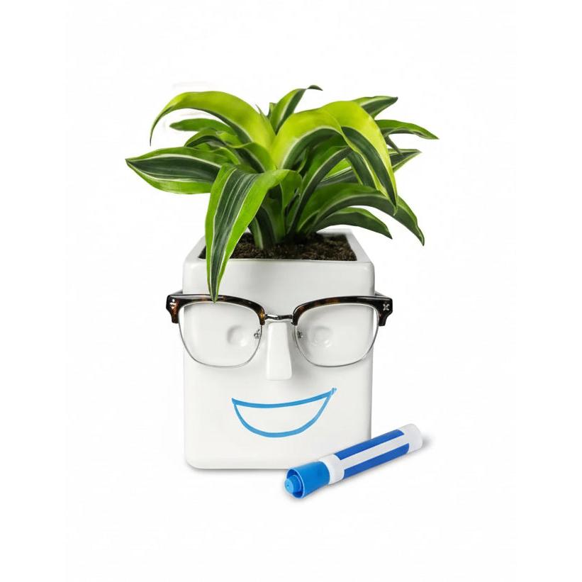 30 Watt Face Plant Novelty Planter