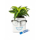 30 Watt Face Plant Novelty Planter