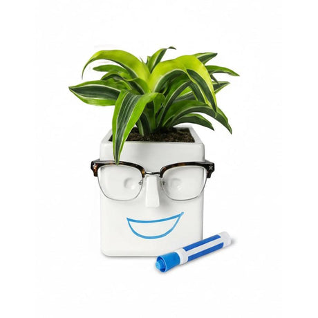 30 Watt Face Plant Novelty Planter