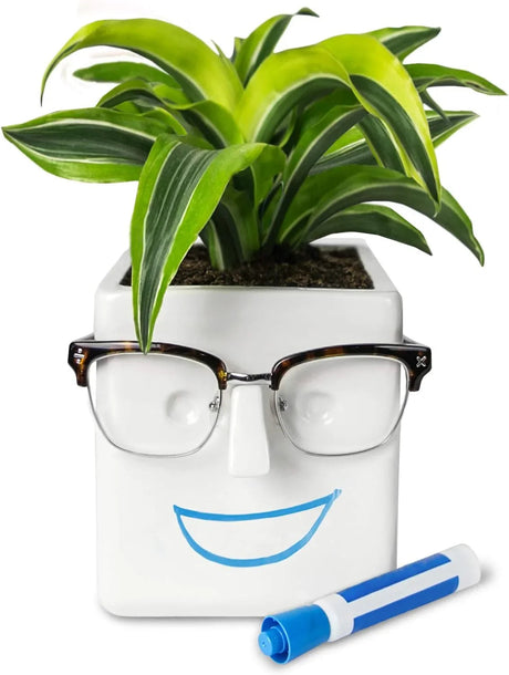 30 Watt Face Plant Novelty Planter.