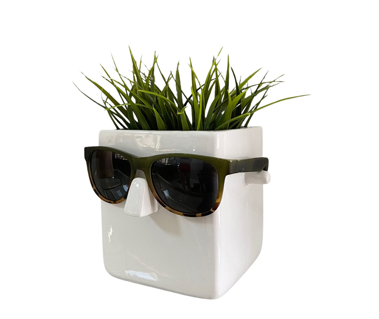 30 Watt Face Plant Novelty Plant