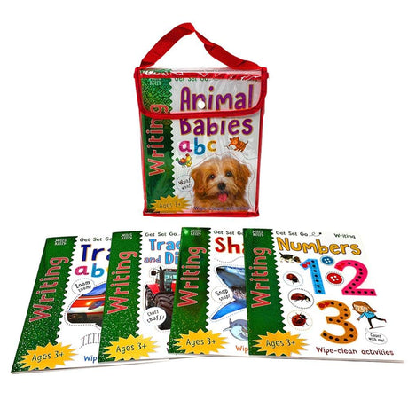 Learn to Write Wipe-Clean Book Collection - 10 Books [Paperback] Miles Kelly Publishing