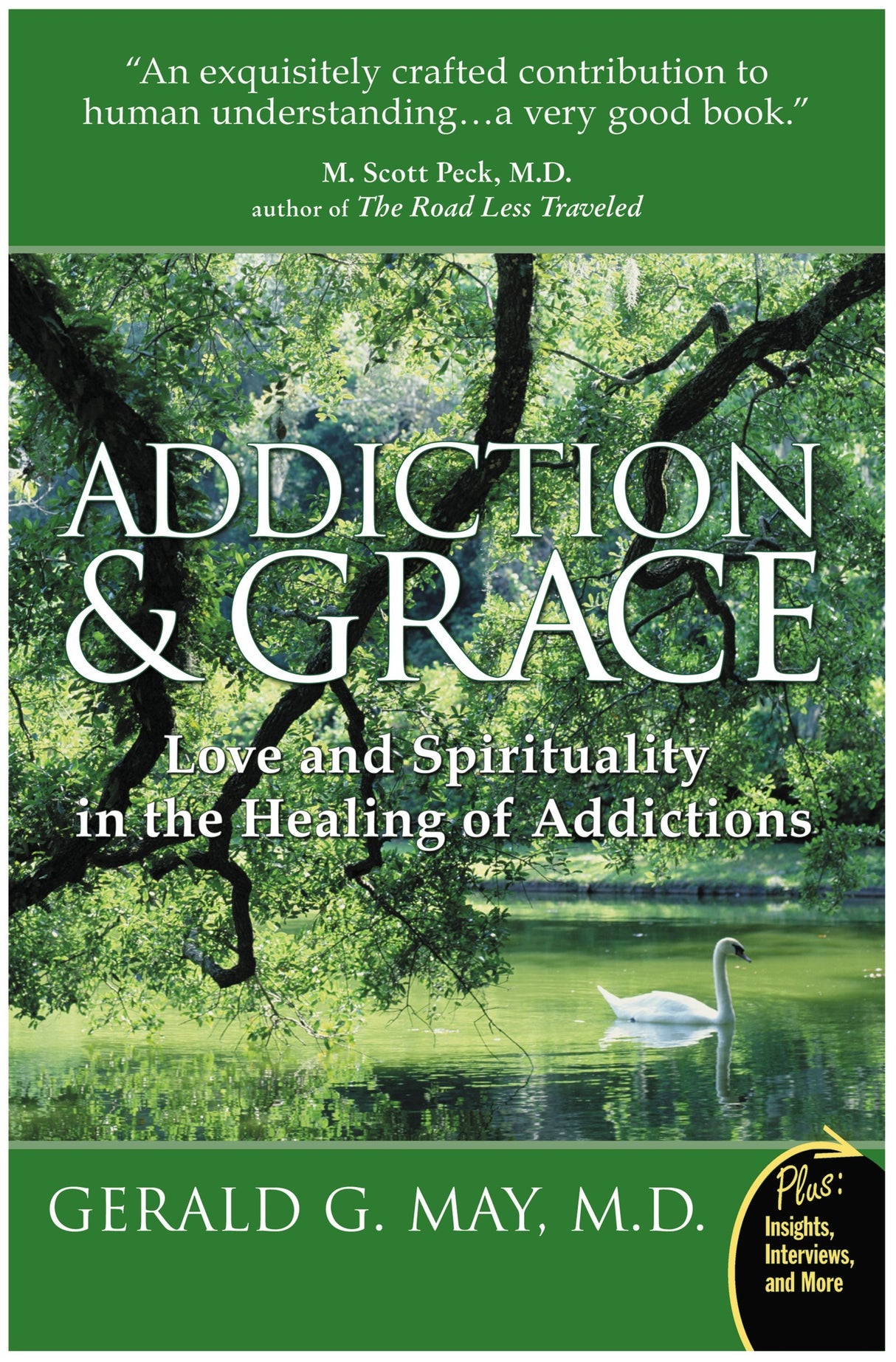 Addiction and Grace: Exploring the Psychology of Addiction, the Power of Spirituality, and the Path to Freedom Through Contemplative Practices by Gerald G. May