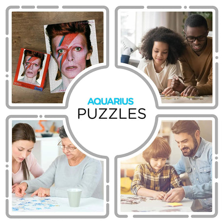 Aquarius David Bowie Aladdin Sane Puzzle (500 Piece Jigsaw Puzzle) - Glare Free - Precision Fit - Officially Licensed David Bowie Merchandise &
