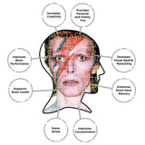 Aquarius David Bowie Aladdin Sane Puzzle (500 Piece Jigsaw Puzzle) - Glare Free - Precision Fit - Officially Licensed David Bowie Merchandise &