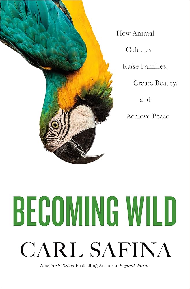 Becoming Wild: How Animal Cultures Raise Families, Create Beauty, and Achieve Peace.