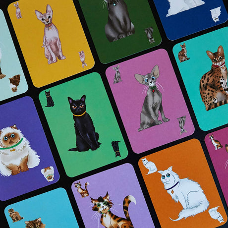 Clarendon Games Herding Cats.