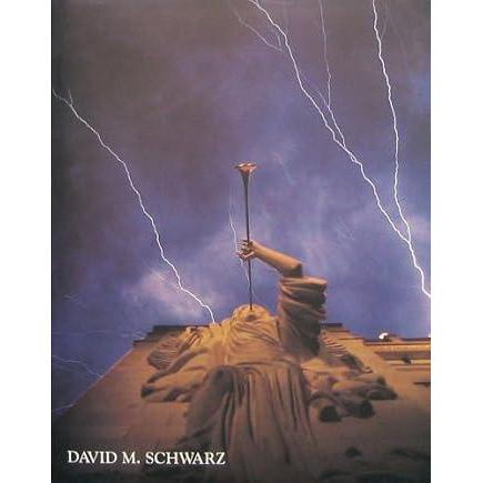 David M. Schwarz by Bradford McKee