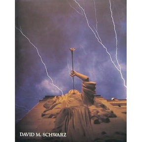 David M. Schwarz by Bradford McKee