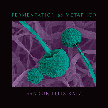 Fermentation as Metaphor: From the Author of the Bestselling The Art of Fermentation by Sandor Ellix Katz