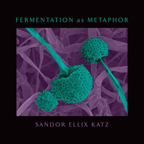 Fermentation as Metaphor: From the Author of the Bestselling The Art of Fermentation by Sandor Ellix Katz