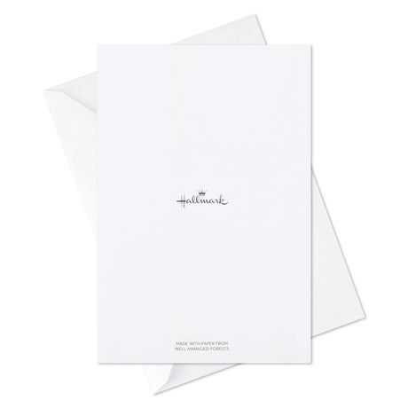 Hallmark Boxed Christmas Cards (6 Designs, 24 Cards with Envelopes)