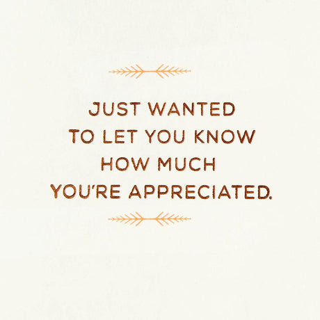 Hallmark Thank You Cards, Pack of 2 (Many Thanks)