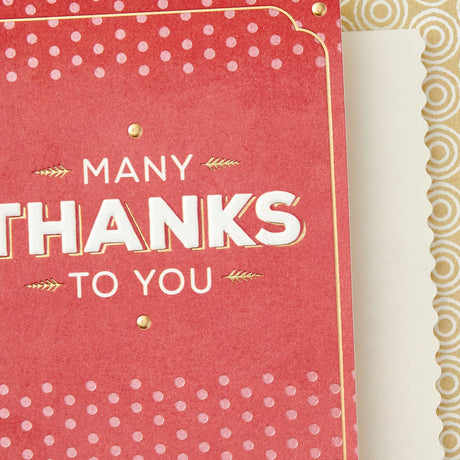 Hallmark Thank You Cards, Pack of 2 (Many Thanks)