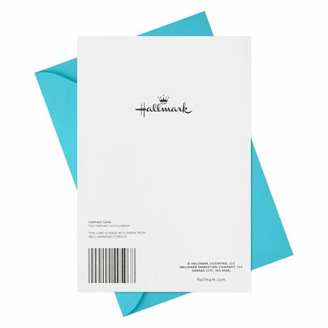 Hallmark Thank You Cards, Pack of 2 (Many Thanks)