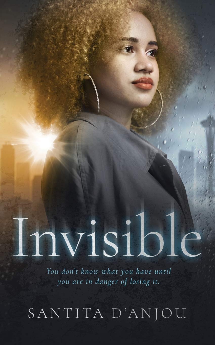 Invisible by Santita J D'Anjou