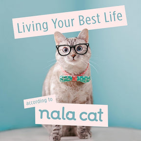 Living Your Best Life According To Nala Cat By Nala Cat