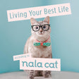 Living Your Best Life According to Nala Cat Nala Cat