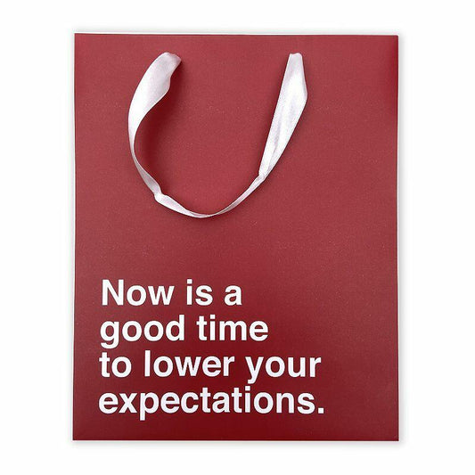 30 Watt "Now is a Good Time" Gift Bag - Meme Gifts 
