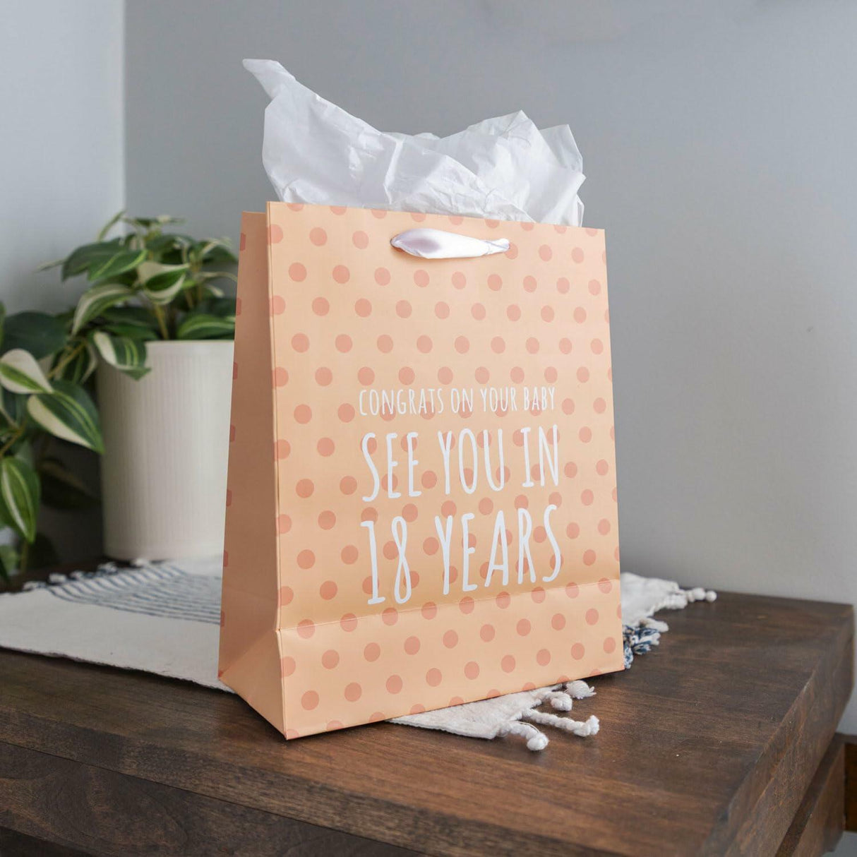 Prank-O "See You In 18 Years" Medium Funny Gift Bag