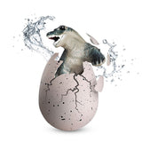 Protocol Hatch Me if You Can! Hatching Dragon Egg.