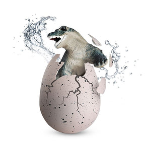 Protocol Hatch Me If You Can! Hatching Dragon Egg