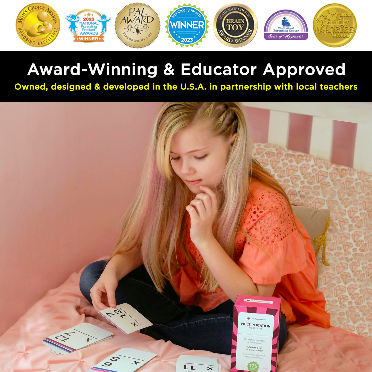 Think Tank Scholar 173 Multiplication Flash Cards.
