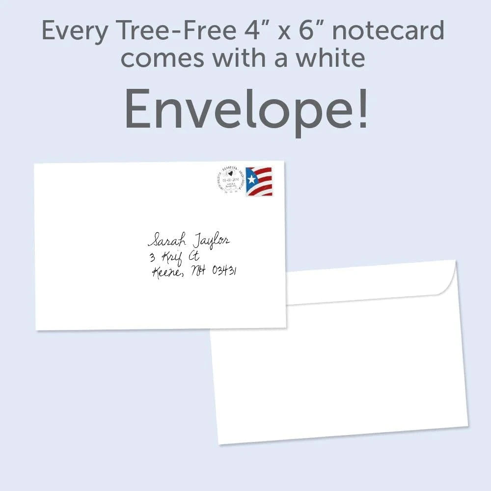Tree-Free Greetings EcoNotes 12-Count Notecard Set With Envelopes - 4 x 6".